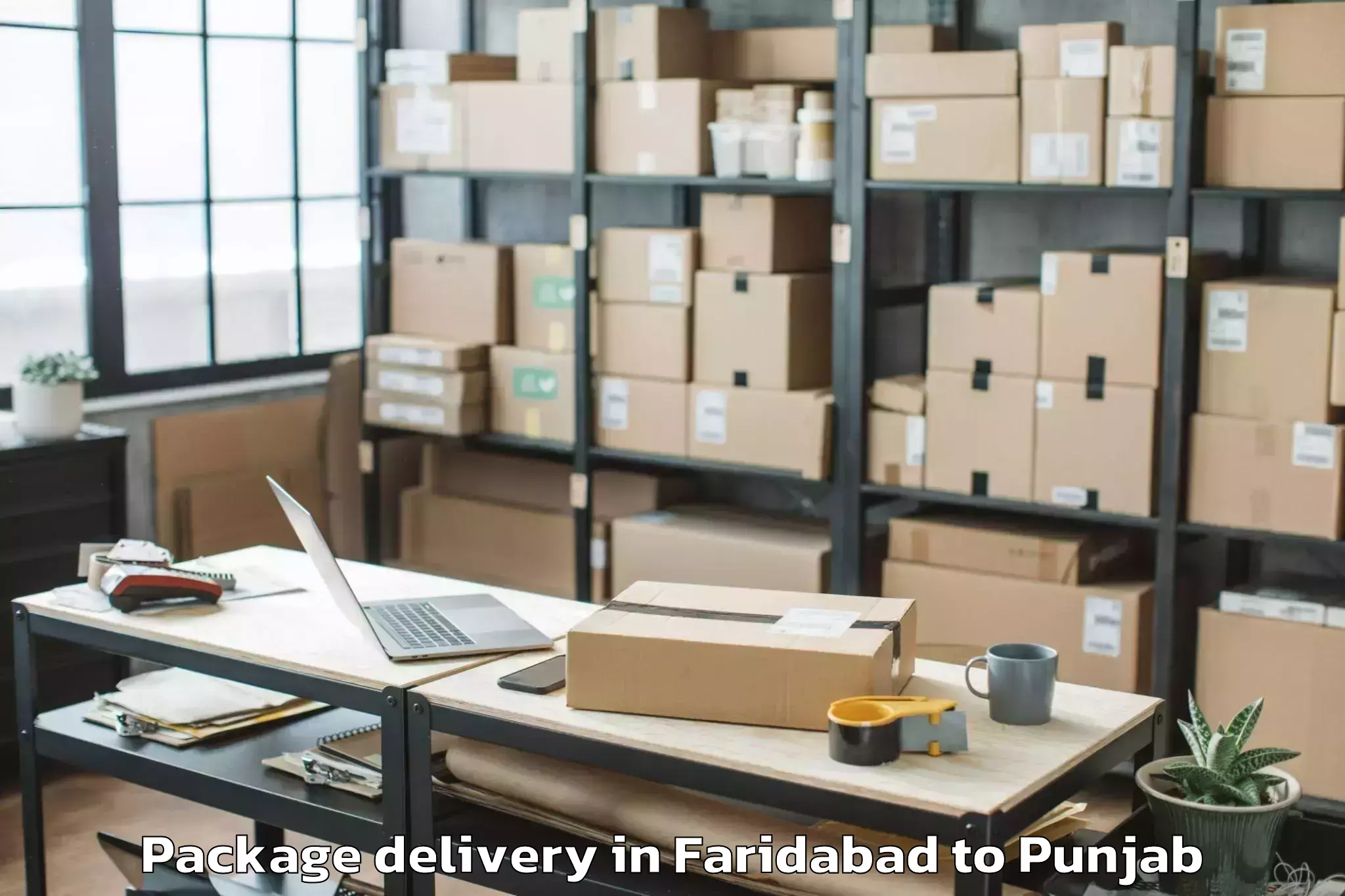 Affordable Faridabad to Khanna Package Delivery